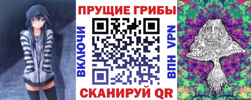 Галлюциногенные грибы Psilocybe  хочу   Черногорск 