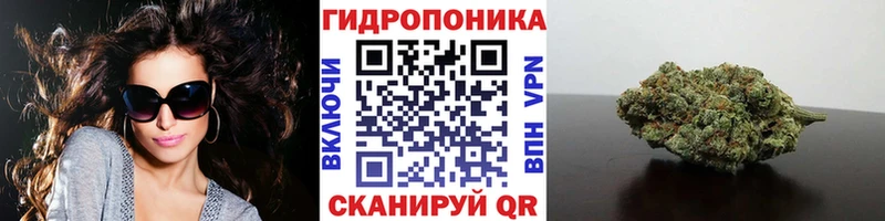 Марихуана Bruce Banner  как найти   Черногорск 